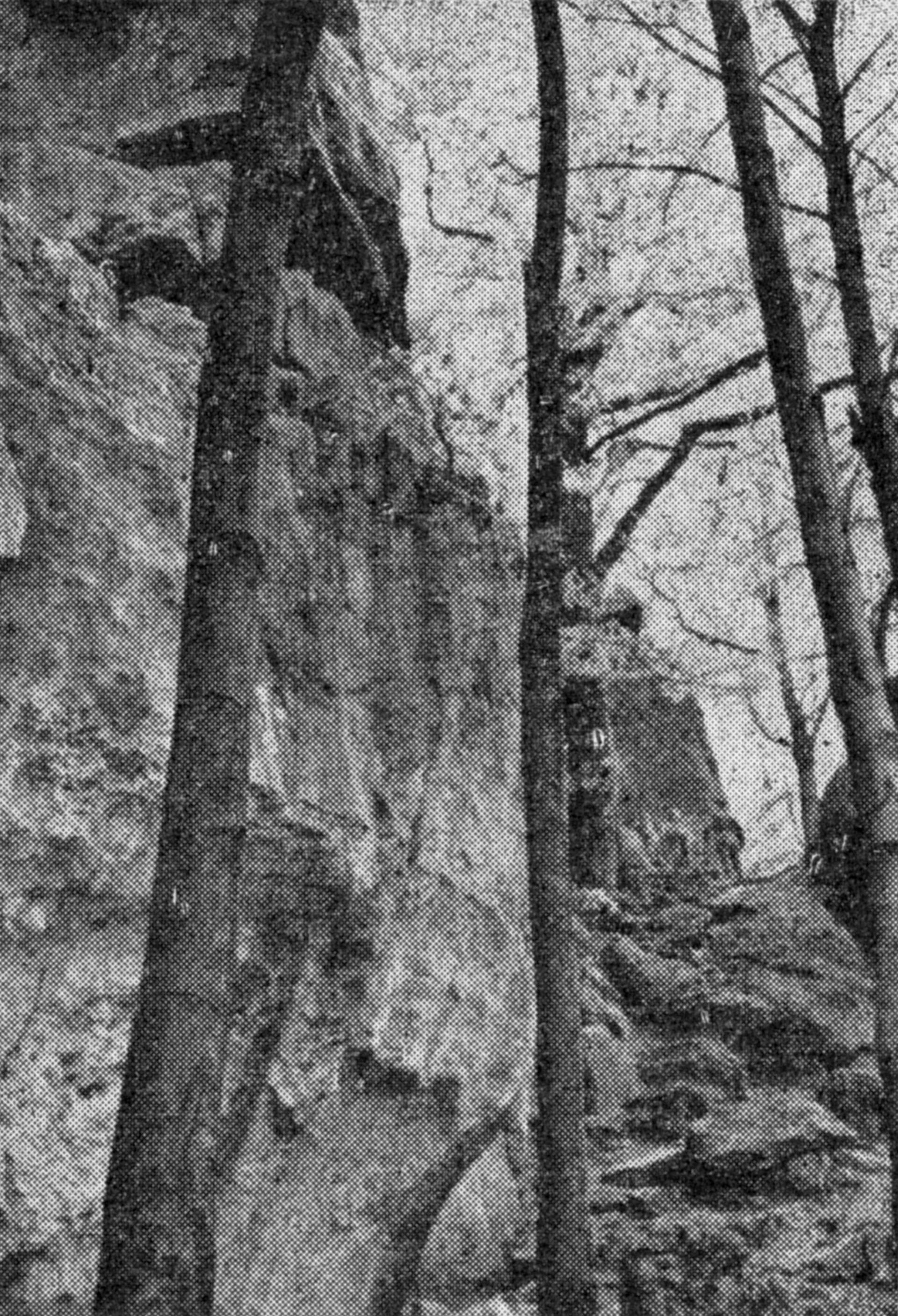 Aufgang zur Rothen Steinhöhle bei Eschershausen
